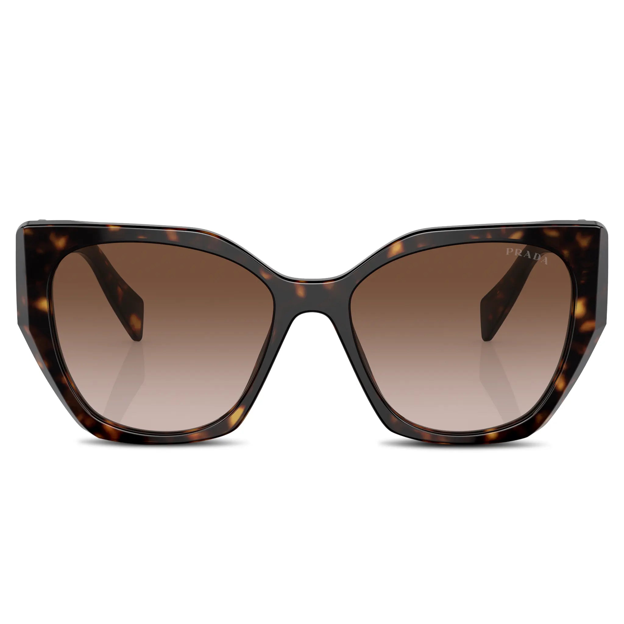 Front view of Prada PR 19ZS 2AU6S1 Tortoise Sunglasses